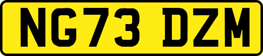 NG73DZM