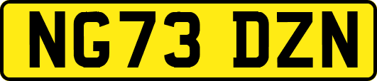 NG73DZN