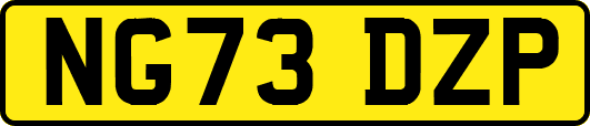 NG73DZP