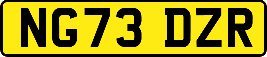 NG73DZR