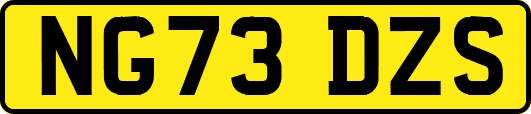 NG73DZS