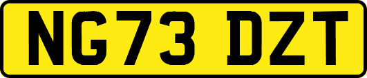 NG73DZT