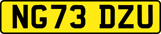 NG73DZU