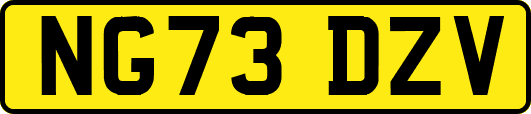 NG73DZV