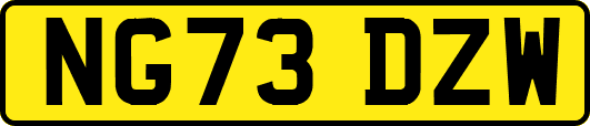 NG73DZW