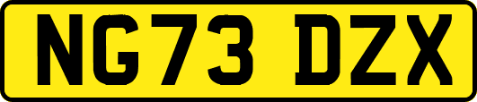 NG73DZX