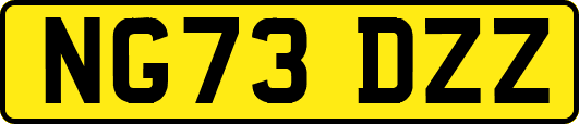 NG73DZZ