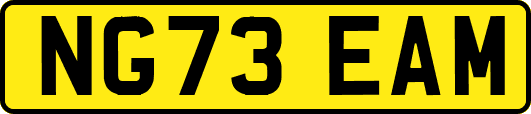NG73EAM