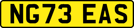 NG73EAS
