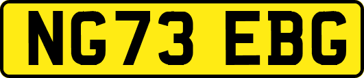 NG73EBG