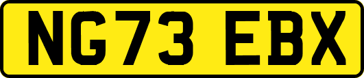 NG73EBX