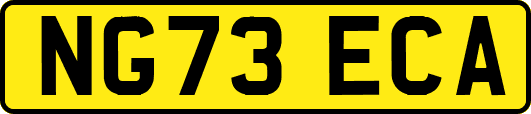 NG73ECA