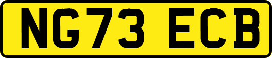 NG73ECB
