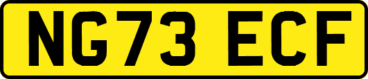 NG73ECF