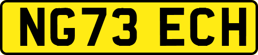 NG73ECH