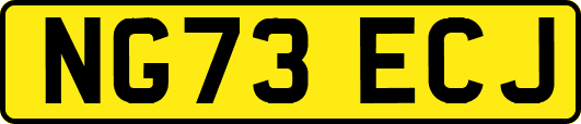 NG73ECJ