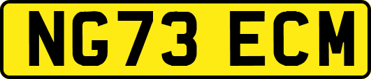NG73ECM