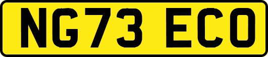 NG73ECO