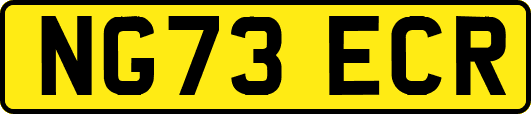 NG73ECR
