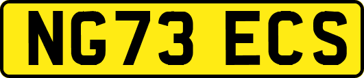NG73ECS