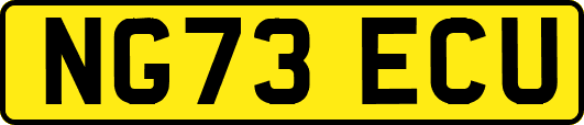 NG73ECU