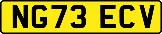 NG73ECV
