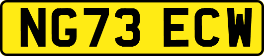 NG73ECW