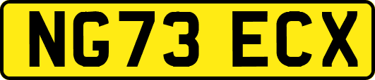 NG73ECX