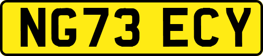 NG73ECY
