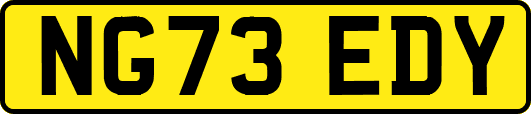 NG73EDY