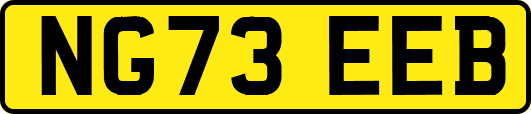 NG73EEB