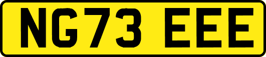 NG73EEE