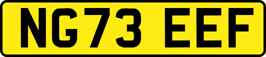 NG73EEF
