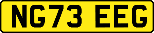 NG73EEG