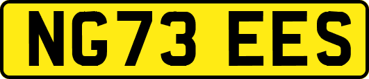 NG73EES