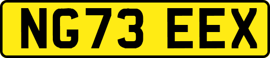 NG73EEX