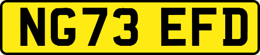 NG73EFD