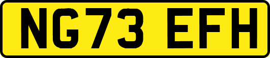 NG73EFH