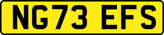 NG73EFS