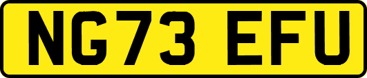 NG73EFU