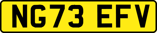 NG73EFV