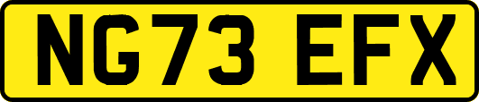 NG73EFX