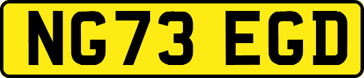 NG73EGD
