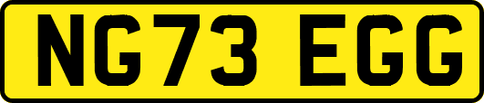 NG73EGG