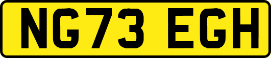 NG73EGH