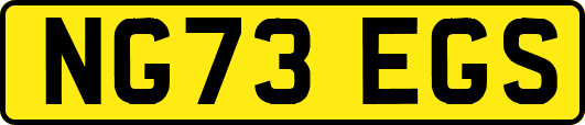 NG73EGS