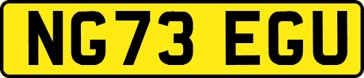 NG73EGU