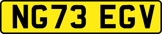 NG73EGV