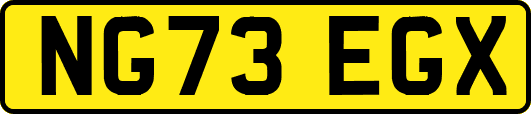 NG73EGX