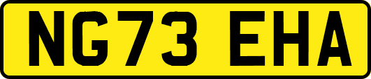 NG73EHA